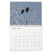 Bald Eagles $ Kalender (Jan 2027)