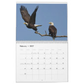 Bald Eagles $ Kalender (Feb 2027)