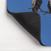 Bald Eagles Mousepad (Ecke)