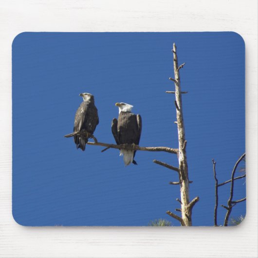Bald Eagles Mousepad (Vorne)