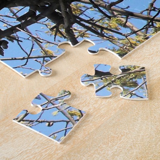 Bald Eagles Nesting Puzzle (Seite)