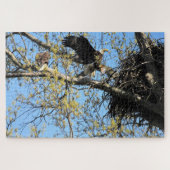 Bald Eagles Nesting Puzzle (Horizontal)