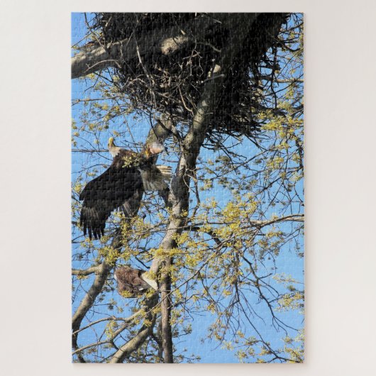 Bald Eagles Nesting Puzzle (Vertikal)