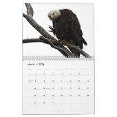 Bald Eagles of Columbiana Ohio Calendar Kalender (Mär 2026)