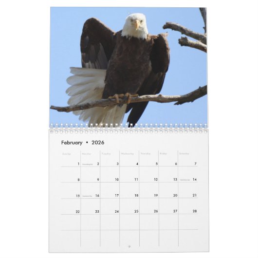 Bald Eagles of Columbiana Ohio Calendar Kalender (Feb 2026)