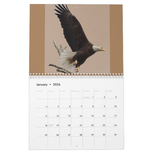 Bald Eagles of Columbiana Ohio Calendar Kalender (Jan 2026)