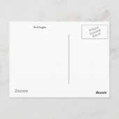 Bald Eagles Postcard Postkarte (Rückseite)