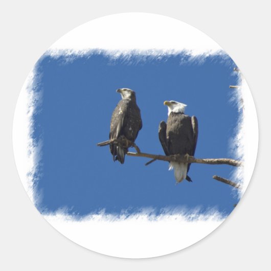 Bald Eagles Runder Aufkleber (Vorderseite)