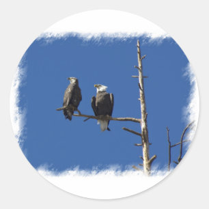 Bald Eagles Runder Aufkleber