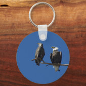 Bald Eagles Schlüsselanhänger (Vorderseite)