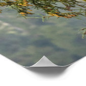 Bald Eagles | Tongass National Forest Alaska Poster (Ecke)