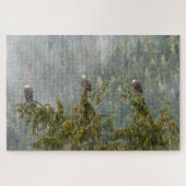 Bald Eagles | Tongass National Forest Alaska Puzzle (Horizontal)