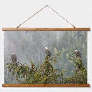 Bald Eagles Tongass National Forest Alaska Wandteppich Mit Holzrahmen