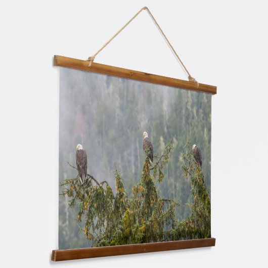 Bald Eagles | Tongass National Forest Alaska Wandteppich Mit Holzrahmen (Gewinkelt)