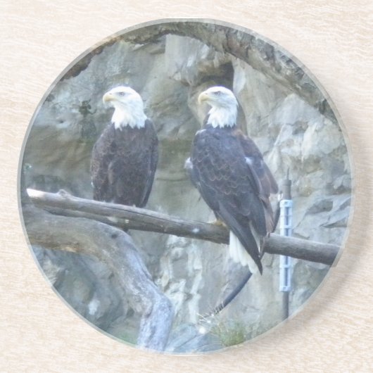 Bald Eagles Untersetzer (Vorne)