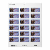 Bald Eagles US Flagge Patriotic Theme Labe Adressaufkleber (Vorne)