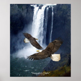 Bald Eagles & Waterfall Kunst, Dichtung und Musik Poster
