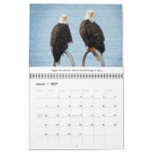 Bald Eagles Wildlife Fotografy Kalender (Mär 2027)