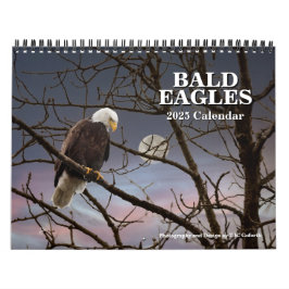 Bald Eagles Wildlife Fotografy Kalender
