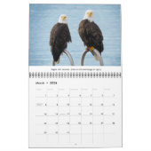 Bald Eagles Wildlife Fotografy Kalender (Mär 2026)