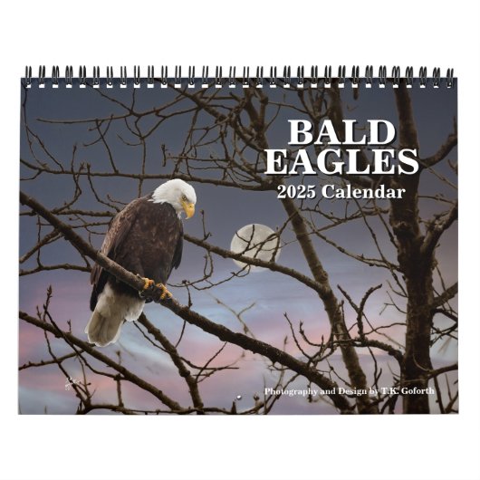 Bald Eagles Wildlife Fotografy Kalender (Titelbild)