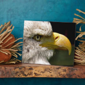 BALD EGELN FOTOPLATTE (Seite)