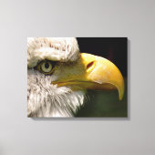 BALD EGELN LEINWANDDRUCK (Vorderseite)