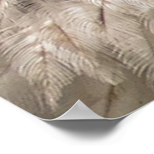 BALD EGELN POSTER (Ecke)