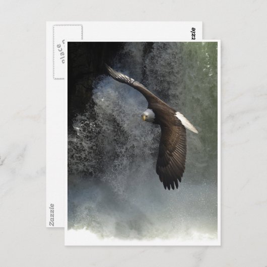 BALD-ELER- UND WASSERFALL-Postkarten Postkarte (Vorne/Hinten)