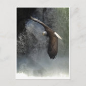 BALD-ELER- UND WASSERFALL-Postkarten Postkarte (Vorderseite)