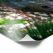 Bald Face Hornets Nest Fotodruck (Ecke)