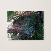 Bald Face Hornets Nest Puzzle (Horizontal)