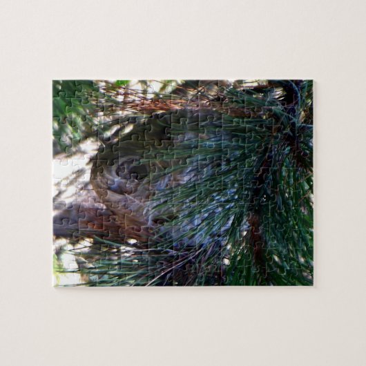 Bald Face Hornets Nest Puzzle (Horizontal)