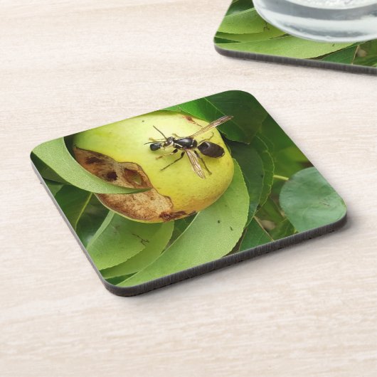 Bald gegenüber Hornet essen eine Birne Untersetzer (Linke Seite)