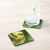 Bald gegenüber Hornet essen eine Birne Untersetzer (Rechte Seite)