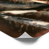 Bald-Gesichtshornet Poster (Ecke)