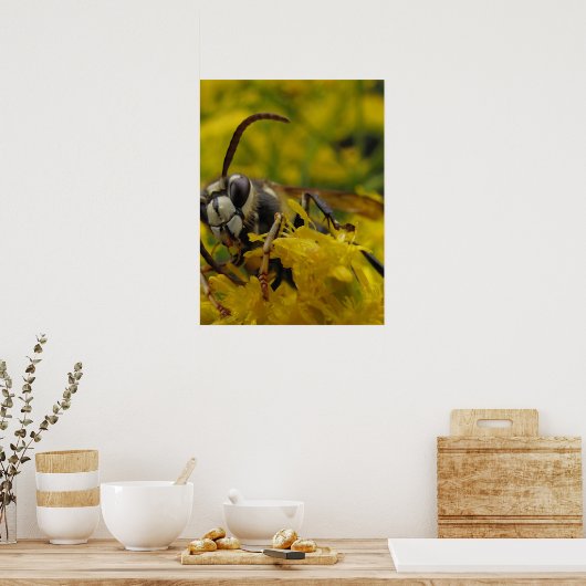 Bald-Gesichtshornet Poster (Küche)