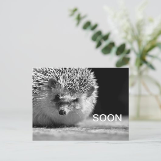 Bald Postkarte (Stehend Vorderseite)