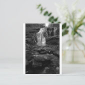Bald River Falls bw.jpg Postkarte (Stehend Vorderseite)