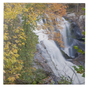 Bald River Falls Fliese