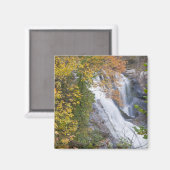 Bald River Falls Magnet (Vorderseite/Rückseite)