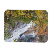 Bald River Falls Magnet (Horizontal)