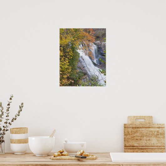 Bald River Falls Poster (Küche)