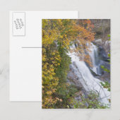 Bald River Falls Postkarte (Vorne/Hinten)