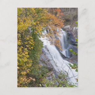 Bald River Falls Postkarte