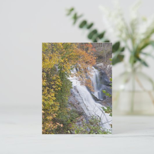 Bald River Falls Postkarte (Stehend Vorderseite)
