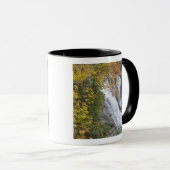 Bald River Falls Tasse (VorderseiteRechts)