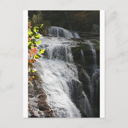 Bald River Falls-Tellico Plains, TN Postkarte (Vorderseite)