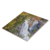 Bald-Wasserfälle Fliese (Seite)