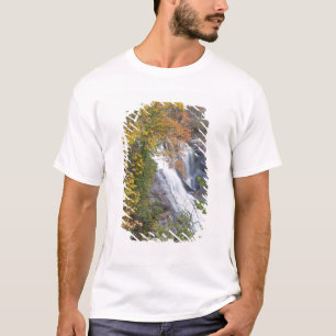 Bald-Wasserfälle T-Shirt